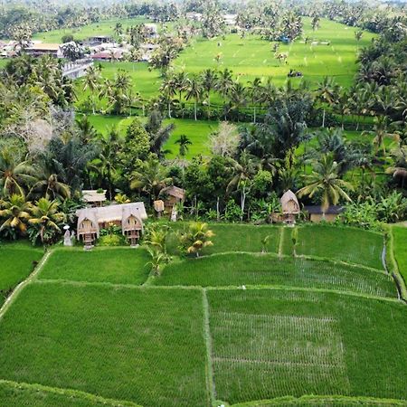 Kawig Bamboo House - Ricefield View, Eco Bamboo Home Tampaksiring Exterior photo