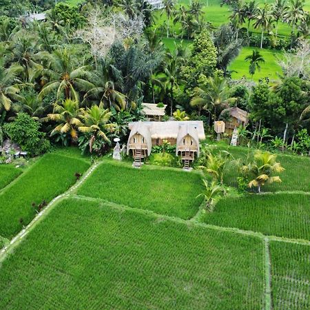 Kawig Bamboo House - Ricefield View, Eco Bamboo Home Tampaksiring Exterior photo