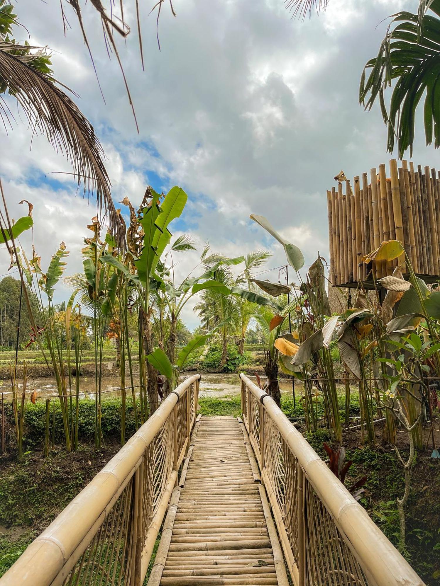 Kawig Bamboo House - Ricefield View, Eco Bamboo Home Tampaksiring Exterior photo