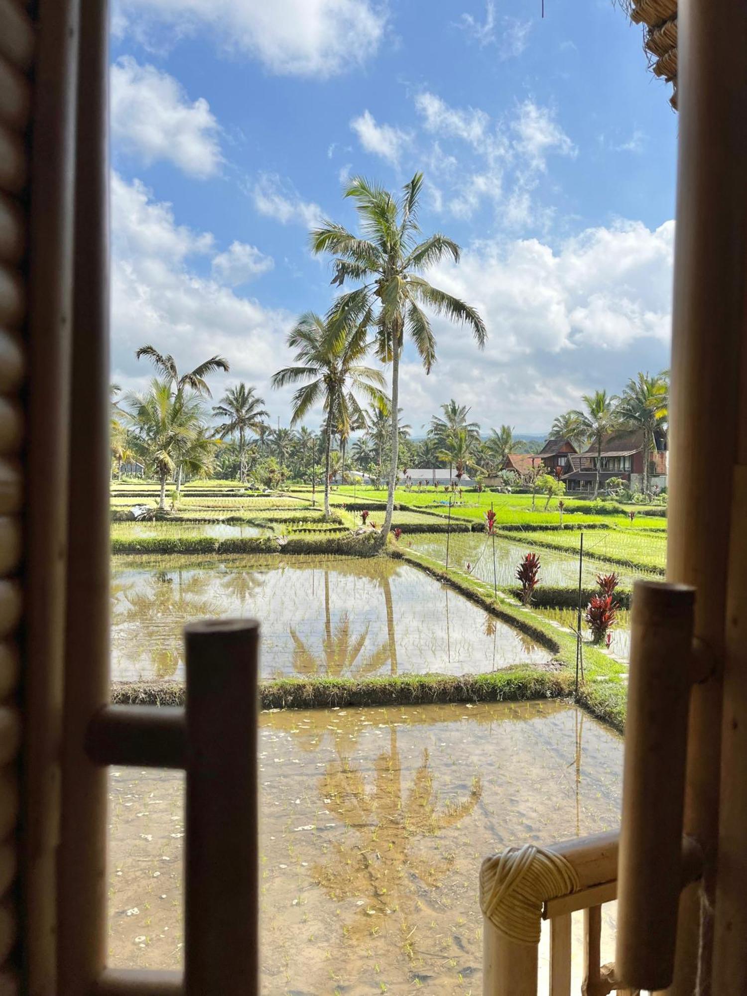 Kawig Bamboo House - Ricefield View, Eco Bamboo Home Tampaksiring Exterior photo