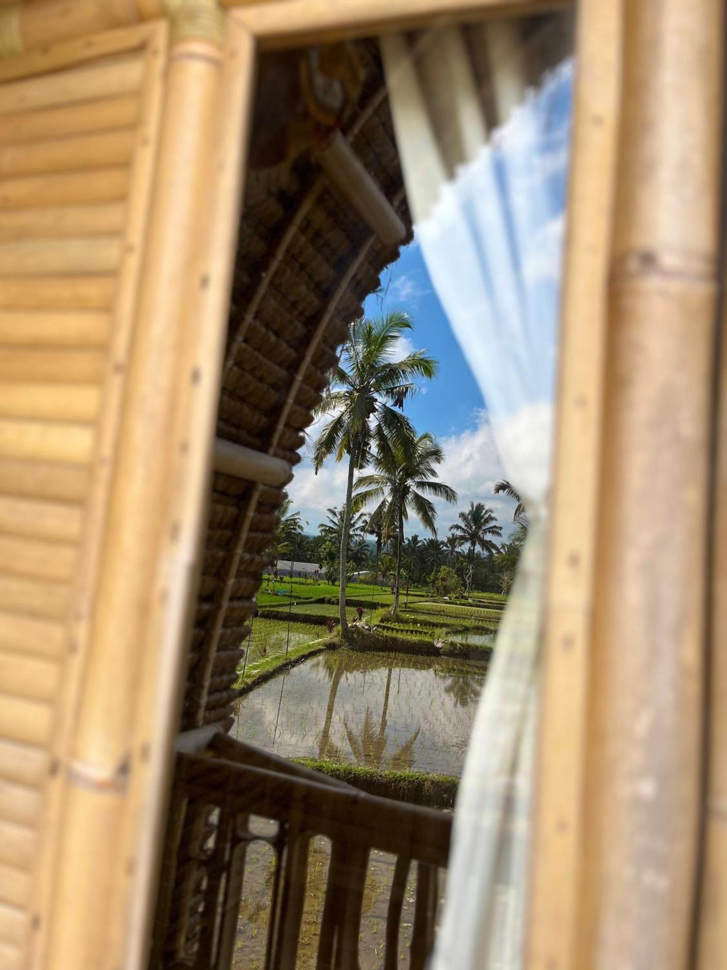 Kawig Bamboo House - Ricefield View, Eco Bamboo Home Tampaksiring Exterior photo