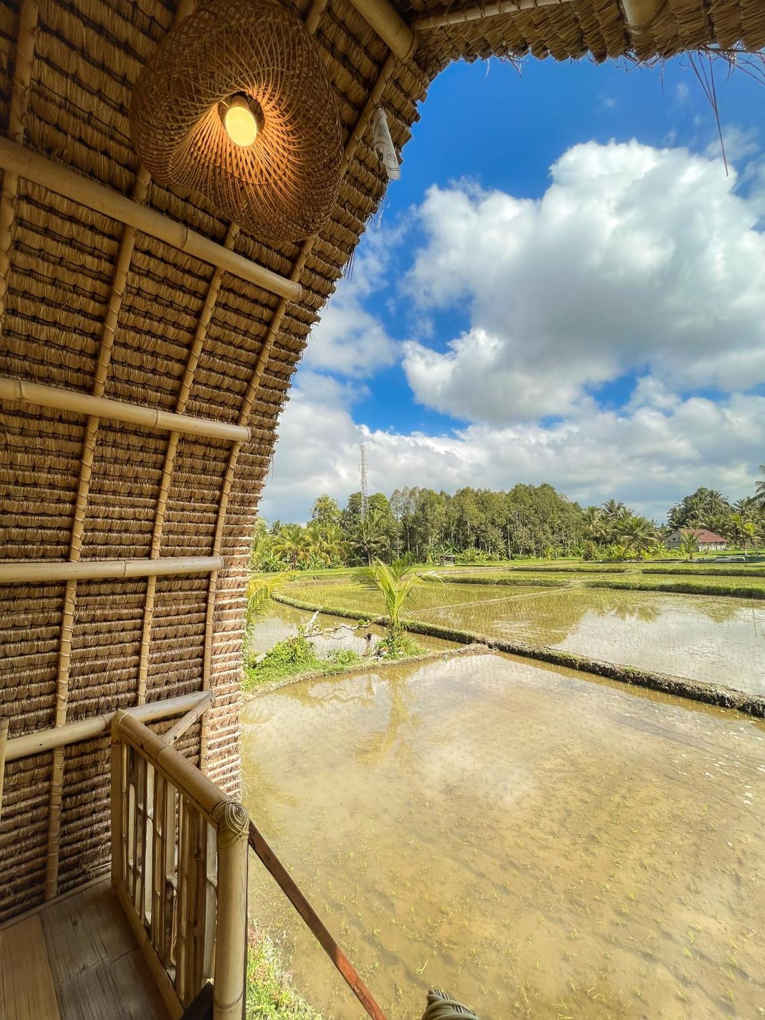 Kawig Bamboo House - Ricefield View, Eco Bamboo Home Tampaksiring Exterior photo