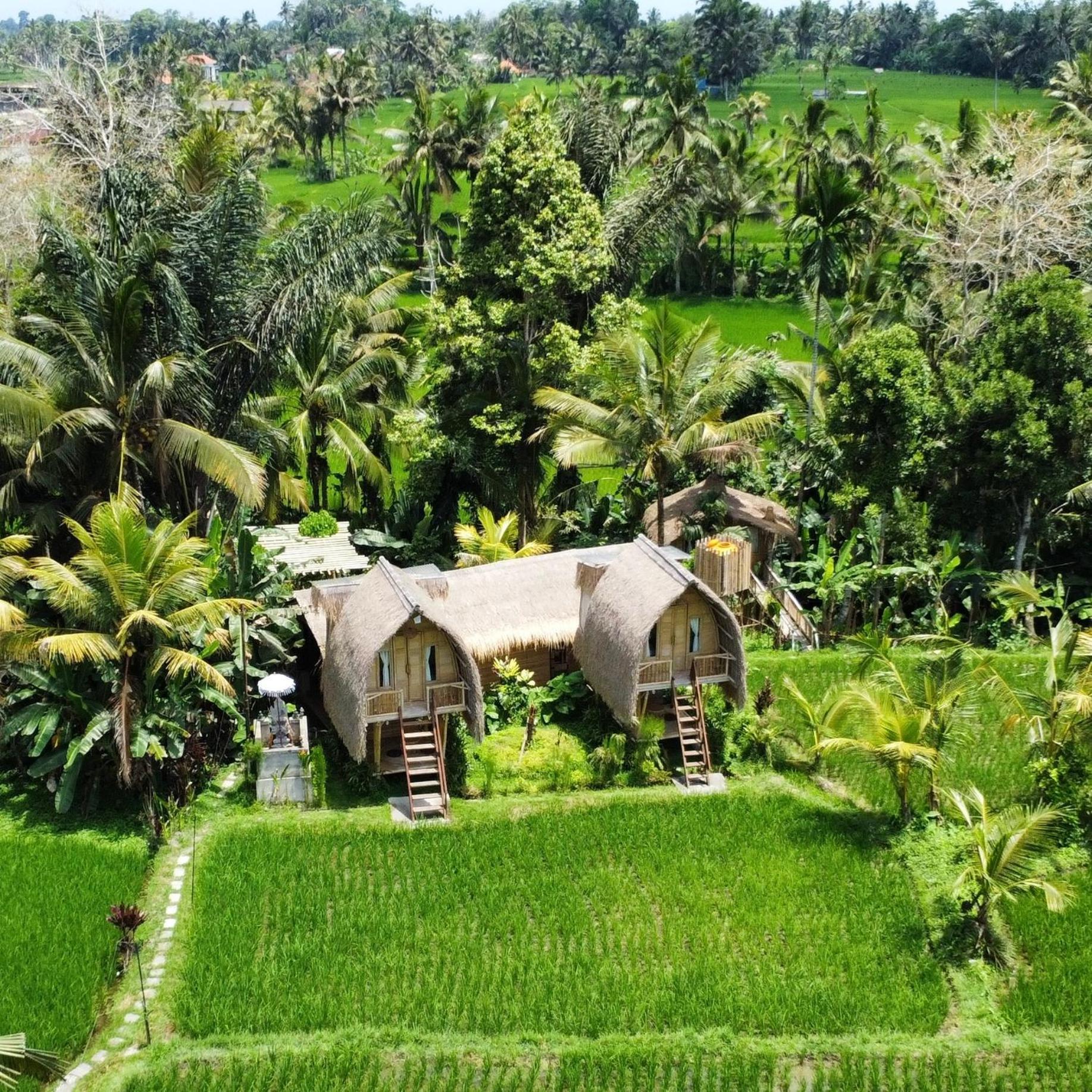 Kawig Bamboo House - Ricefield View, Eco Bamboo Home Tampaksiring Exterior photo