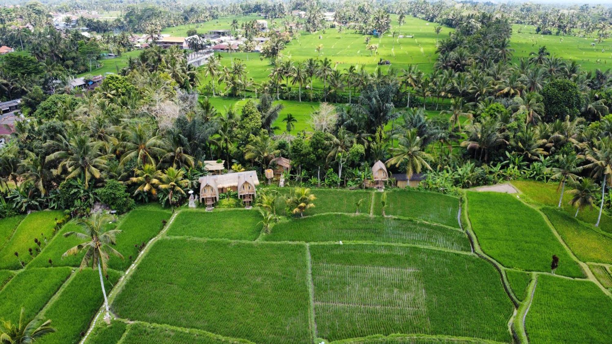 Kawig Bamboo House - Ricefield View, Eco Bamboo Home Tampaksiring Exterior photo