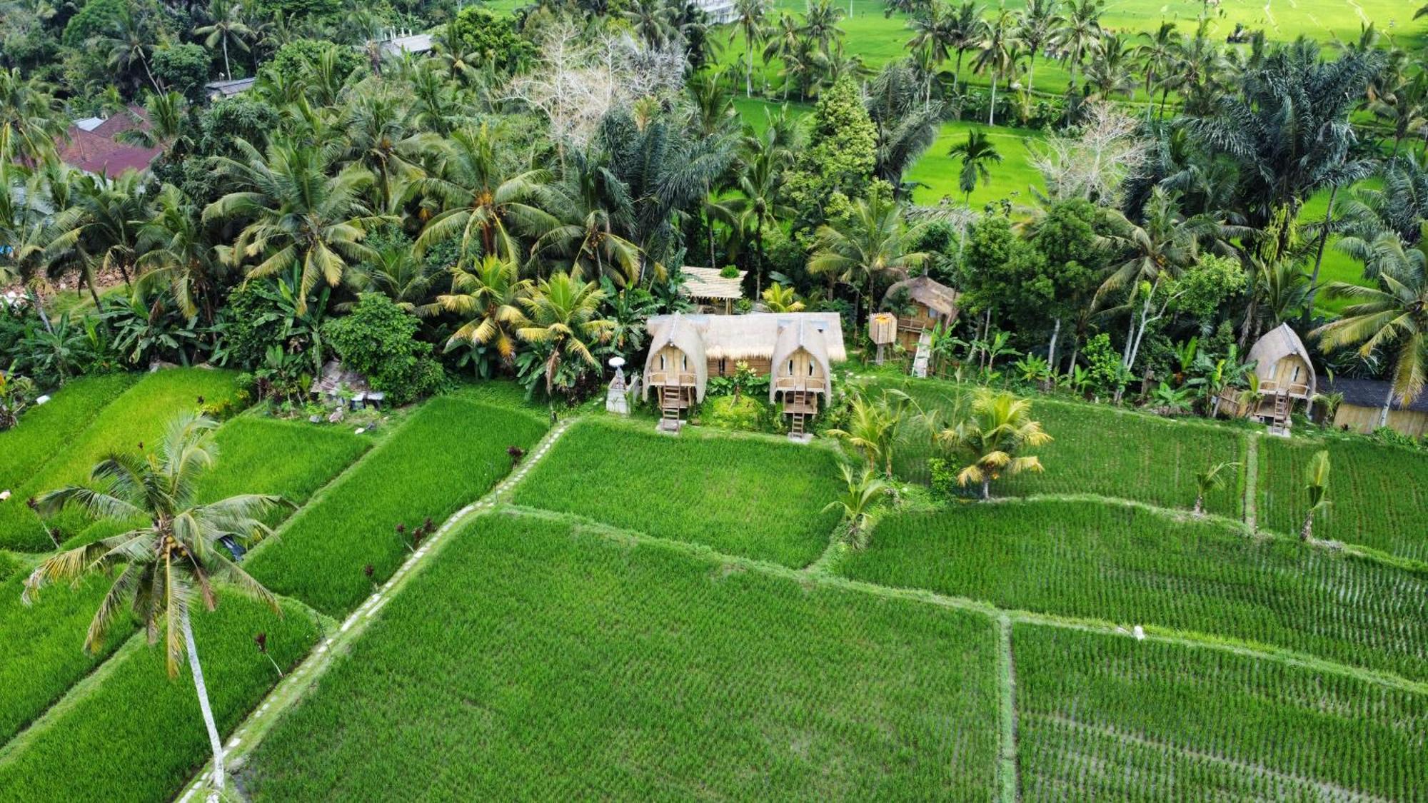 Kawig Bamboo House - Ricefield View, Eco Bamboo Home Tampaksiring Exterior photo