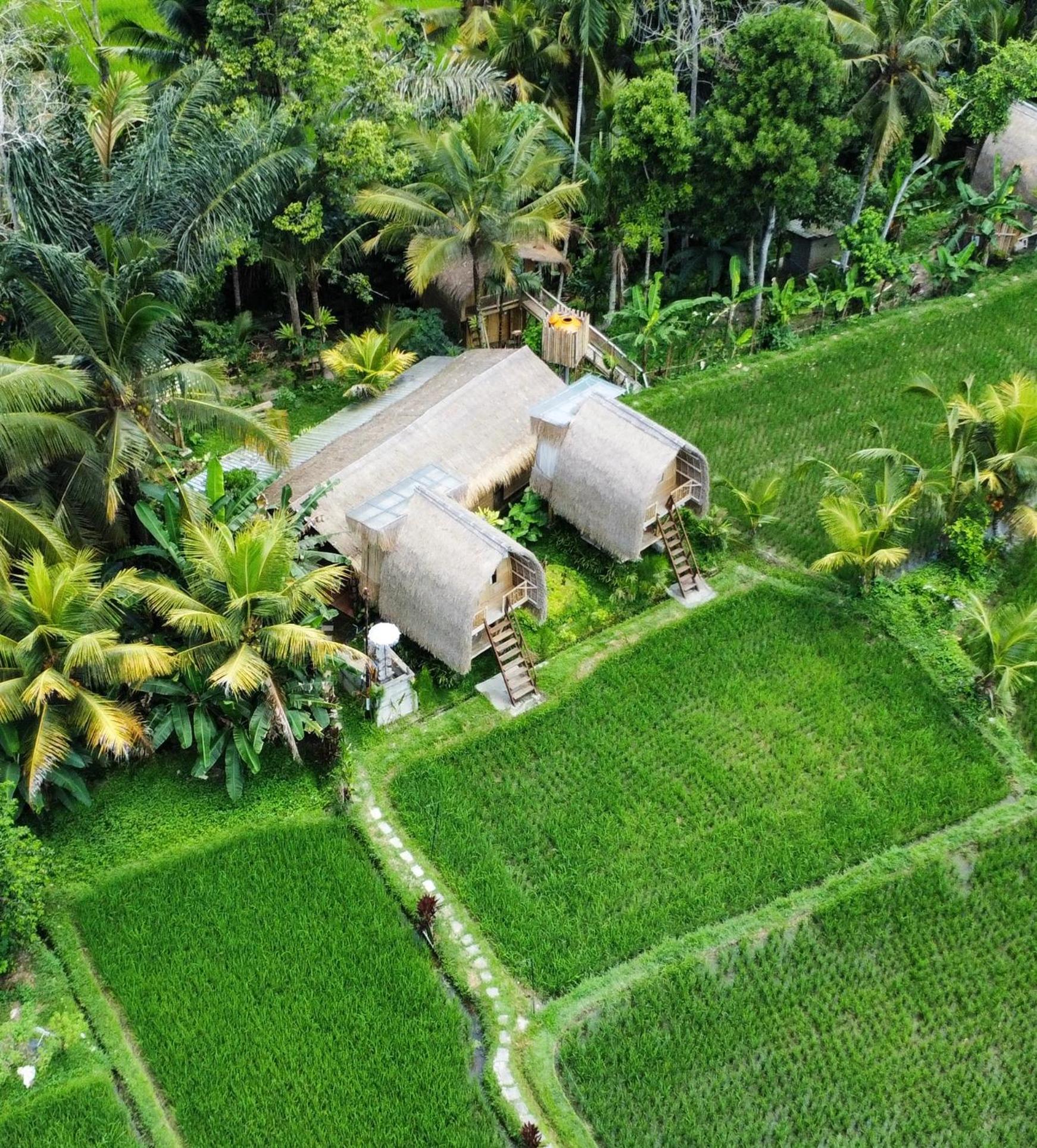 Kawig Bamboo House - Ricefield View, Eco Bamboo Home Tampaksiring Exterior photo