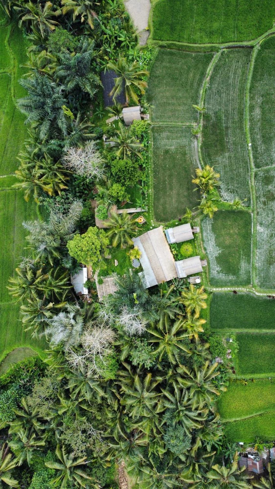 Kawig Bamboo House - Ricefield View, Eco Bamboo Home Tampaksiring Exterior photo